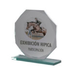 GLASS AWARD WITH BLACK BACKGROUND – 12.5CM CRYSTAL TROPHY FOR ACHIEVEMENT