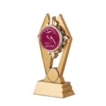 DELUXE 17.5CM CRYSTAL AWARD – OUTLET EDITION WITH GIFT BOX