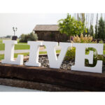 PERSONALISED PLEXIGLASS LETTERS – 25CM CUSTOM ACRYLIC (PRICE PER LETTER)