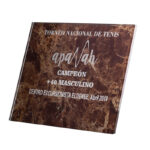 PREMIUM CRYSTAL AWARD – 22CM X 17CM CUSTOM ENGRAVED TROPHY