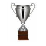 CLASSIC LINE TROPHY 41CM