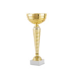 PARTICIPATION LINE TROPHY 13.5CM (OUTLET)
