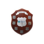 WINNERS MEMORIAL SHIELD 35CM – CUSTOM ENGRAVED SHIELD FOR 9 YEARS OF RECOGNITION - Image 2
