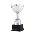 TROPHY - Image 2
