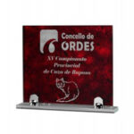 DELUXE CRYSTAL AWARD 24CM - Image 2