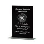 GLASS AWARD WITH BLACK BACKGROUND – 12.5CM CRYSTAL TROPHY FOR ACHIEVEMENT - Image 2