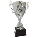 CLASSIC LINE TROPHY 60CM - Image 5