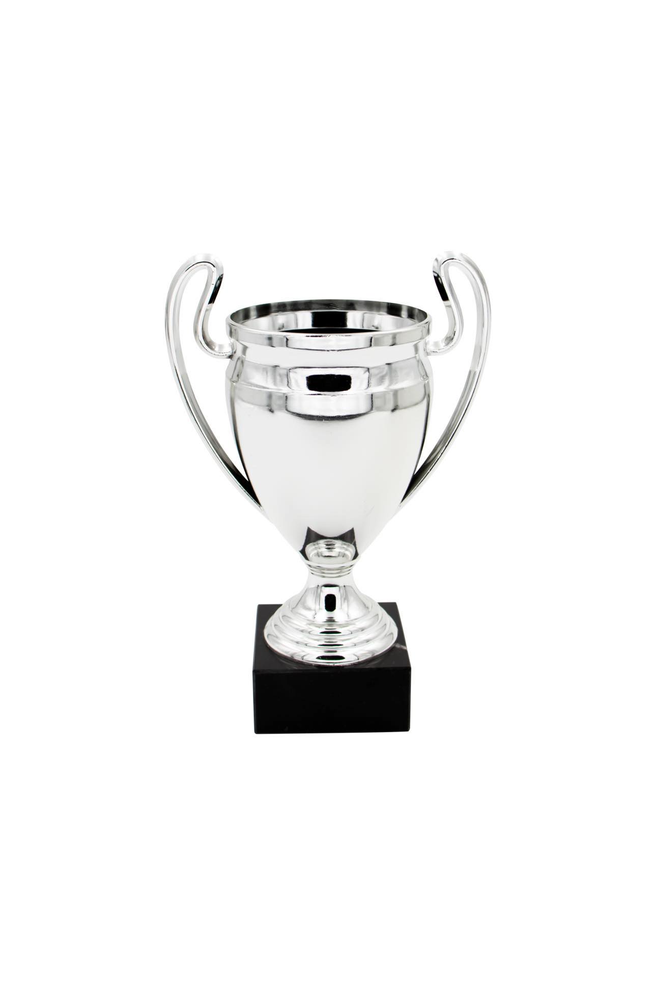 24-4167-2 BUDGET SMALL TROPHY 17CM - Image 1